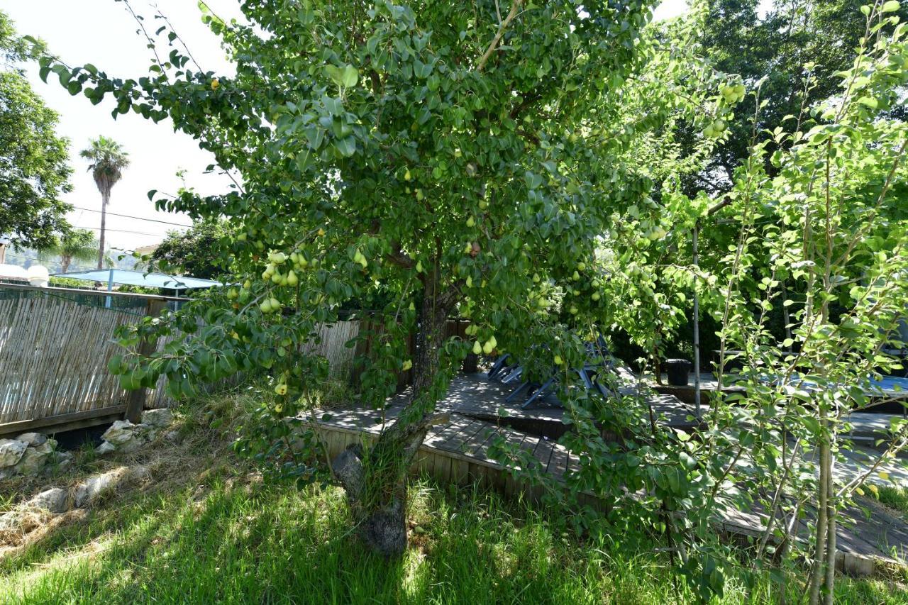 Tzlil Hateva Hosen Exteriör bild